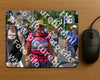 Evenement foto: Nijmeegse Vierdaagse 846