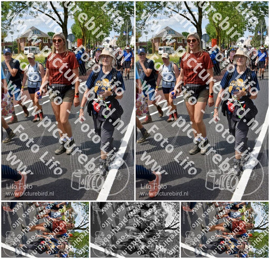Evenement foto: Nijmeegse Vierdaagse 846