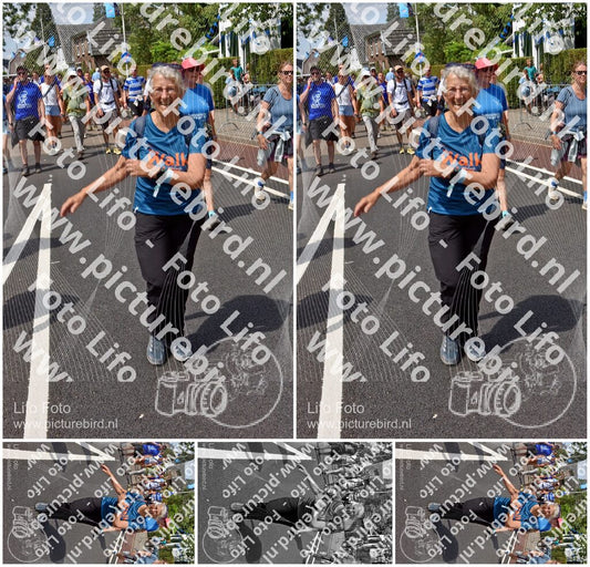 Evenement foto: Nijmeegse Vierdaagse 846
