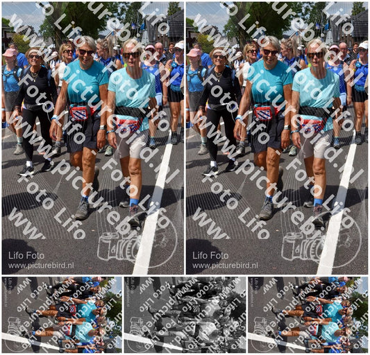 Evenement foto: Nijmeegse Vierdaagse 845