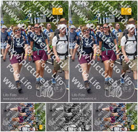 Evenement foto: Nijmeegse Vierdaagse 845