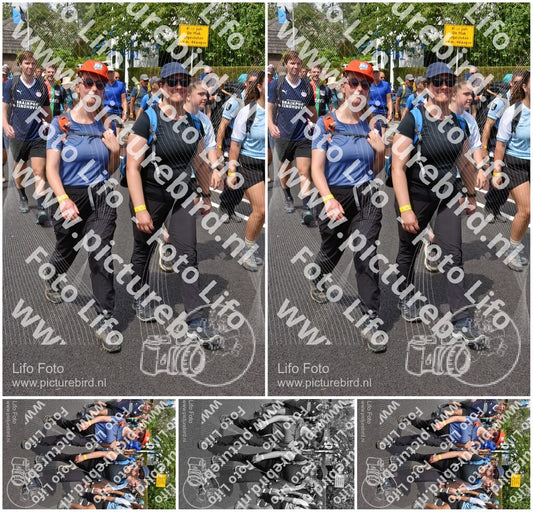 Evenement foto: Nijmeegse Vierdaagse 845