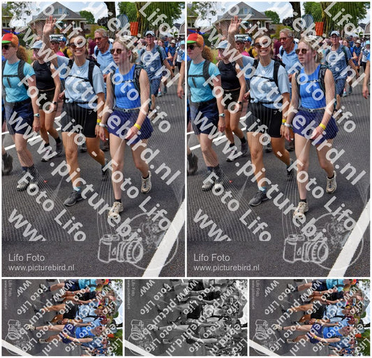 Evenement foto: Nijmeegse Vierdaagse 845