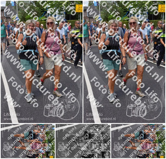 Evenement foto: Nijmeegse Vierdaagse 845
