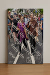Evenement foto: Nijmeegse Vierdaagse 845