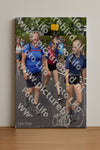 Evenement foto: Nijmeegse Vierdaagse 845