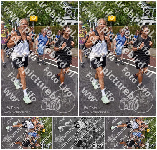 Evenement foto: Nijmeegse Vierdaagse 845