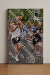 Evenement foto: Nijmeegse Vierdaagse 845