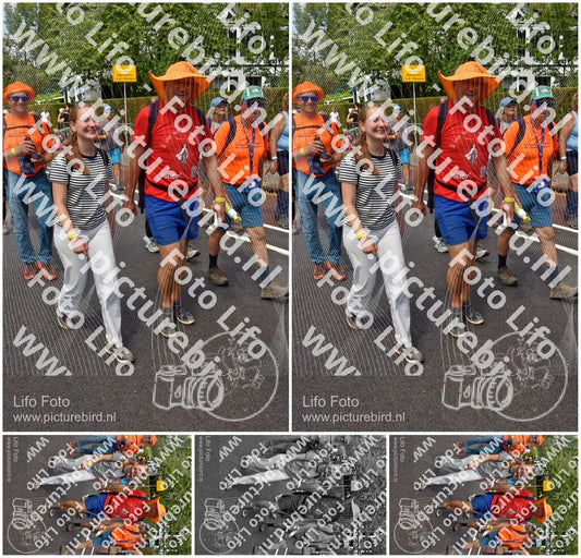 Evenement foto: Nijmeegse Vierdaagse 845