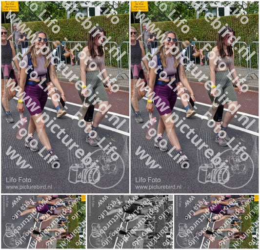 Evenement foto: Nijmeegse Vierdaagse 845