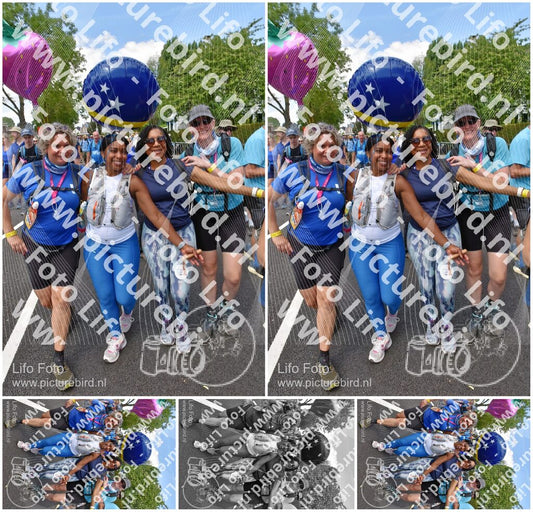Evenement foto: Nijmeegse Vierdaagse 845
