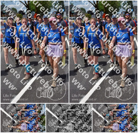 Evenement foto: Nijmeegse Vierdaagse 845