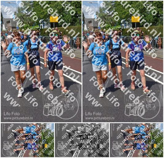 Evenement foto: Nijmeegse Vierdaagse 845