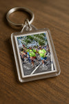 Evenement foto: Nijmeegse Vierdaagse 845