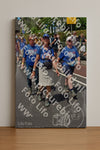 Evenement foto: Nijmeegse Vierdaagse 845