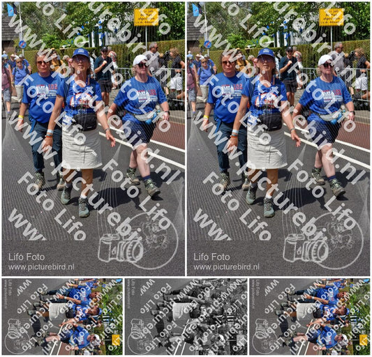 Evenement foto: Nijmeegse Vierdaagse 845