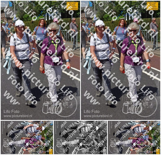 Evenement foto: Nijmeegse Vierdaagse 845