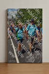 Evenement foto: Nijmeegse Vierdaagse 845