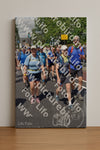 Evenement foto: Nijmeegse Vierdaagse 844