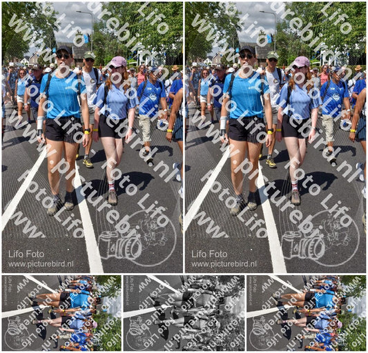 Evenement foto: Nijmeegse Vierdaagse 844