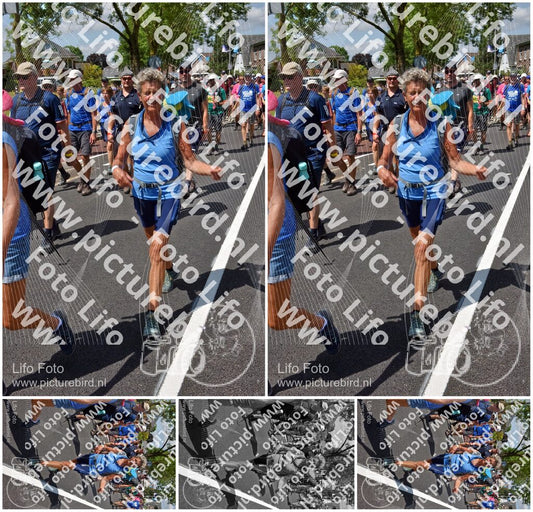 Evenement foto: Nijmeegse Vierdaagse 844