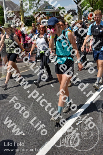 Evenement foto: Nijmeegse Vierdaagse 844