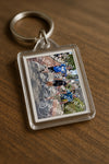 Evenement foto: Nijmeegse Vierdaagse 465
