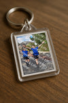 Evenement foto: Nijmeegse Vierdaagse 465
