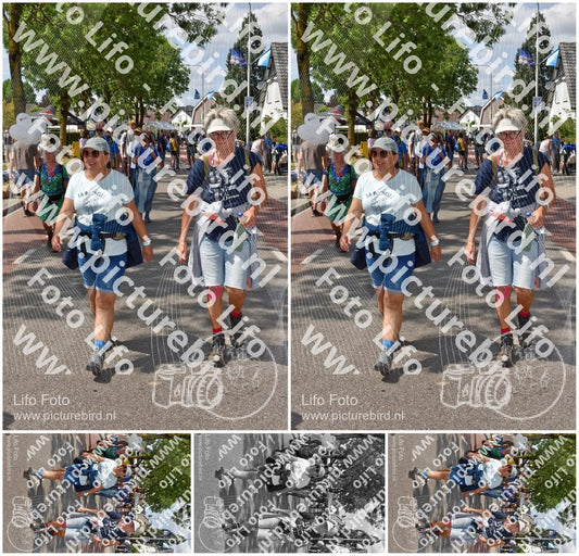Evenement foto: Nijmeegse Vierdaagse 465