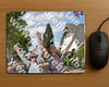 Evenement foto: Nijmeegse Vierdaagse 465