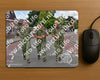 Evenement foto: Nijmeegse Vierdaagse 465