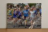 Evenement foto: Nijmeegse Vierdaagse 464