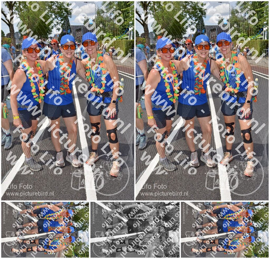 Evenement foto: Nijmeegse Vierdaagse 464
