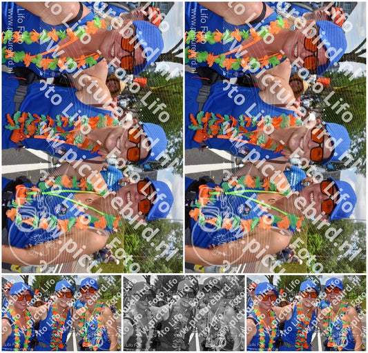 Evenement foto: Nijmeegse Vierdaagse 464