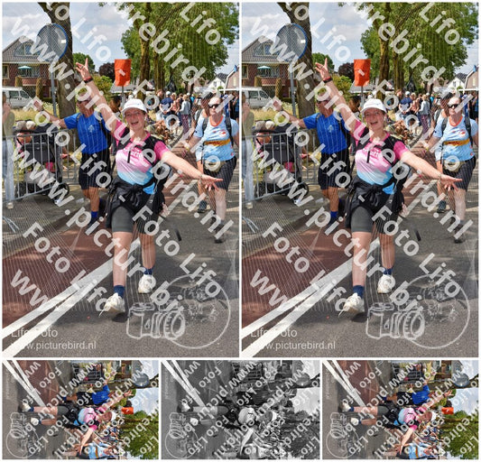 Evenement foto: Nijmeegse Vierdaagse 464