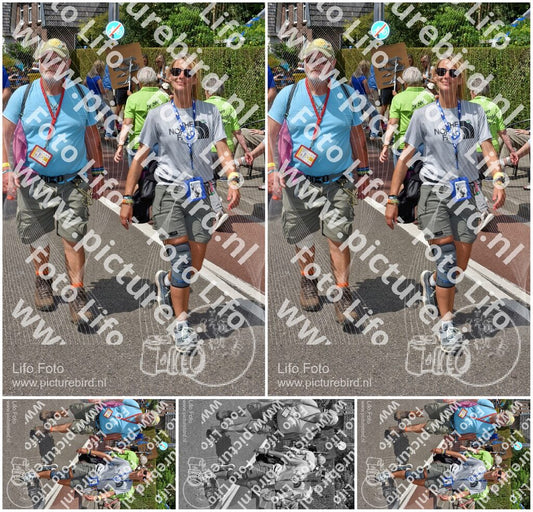 Evenement foto: Nijmeegse Vierdaagse 464