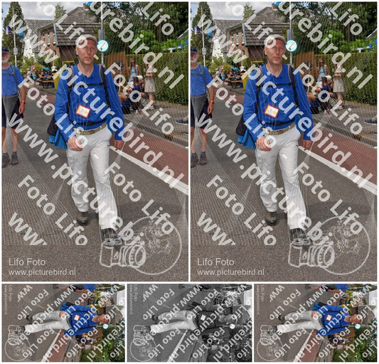 Evenement foto: Nijmeegse Vierdaagse 464