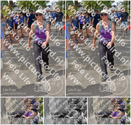 Evenement foto: Nijmeegse Vierdaagse 464