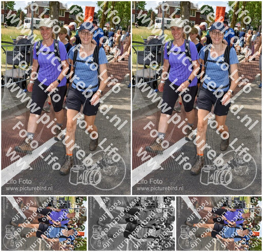 Evenement foto: Nijmeegse Vierdaagse 464