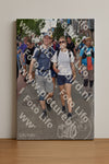 Evenement foto: Nijmeegse Vierdaagse 464
