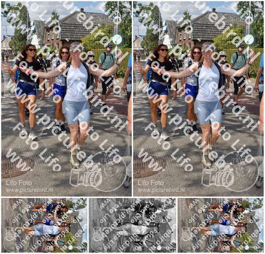 Evenement foto: Nijmeegse Vierdaagse 464