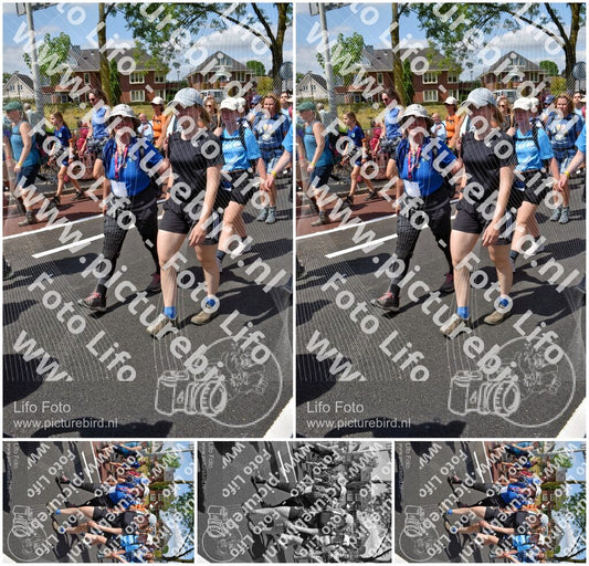Evenement foto: Nijmeegse Vierdaagse 463