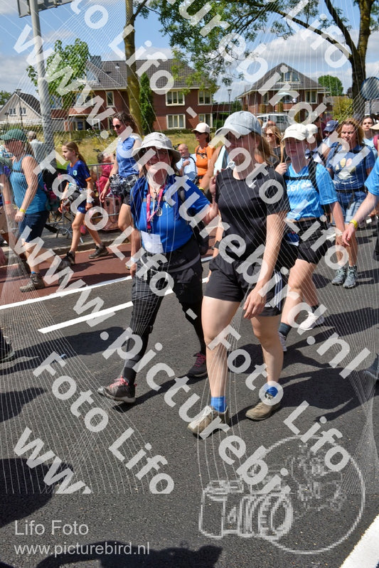Evenement foto: Nijmeegse Vierdaagse 463