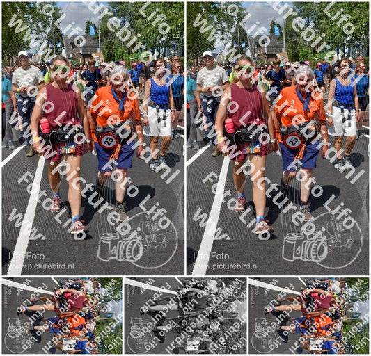 Evenement foto: Nijmeegse Vierdaagse 463