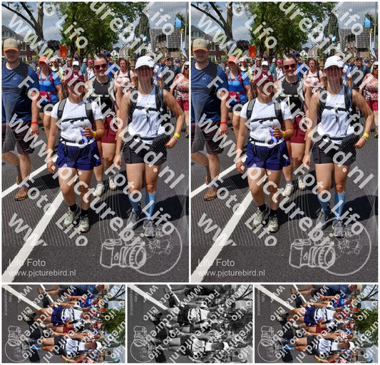 Evenement foto: Nijmeegse Vierdaagse 463
