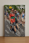 Evenement foto: Nijmeegse Vierdaagse 463