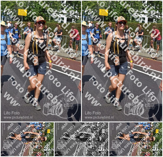 Evenement foto: Nijmeegse Vierdaagse 463
