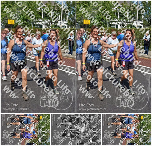 Evenement foto: Nijmeegse Vierdaagse 463