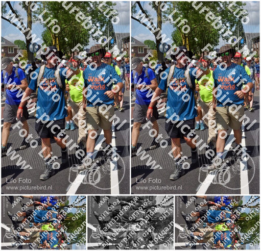 Evenement foto: Nijmeegse Vierdaagse 463