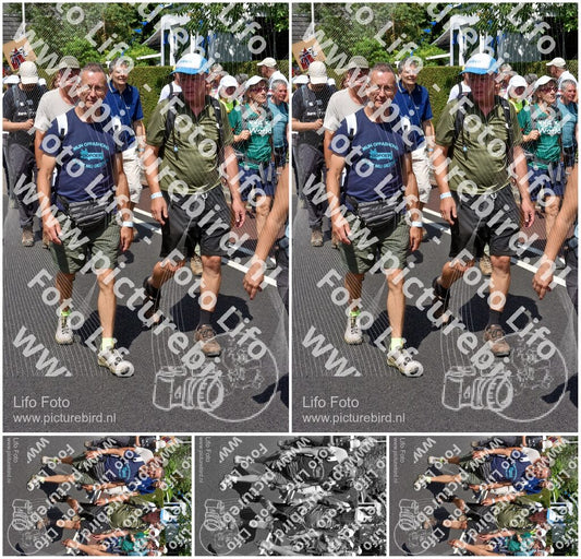 Evenement foto: Nijmeegse Vierdaagse 463